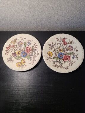 Vintage Vernon Kilns CA Hand Painted Floral Plates Set of 2 6" Cottagecore